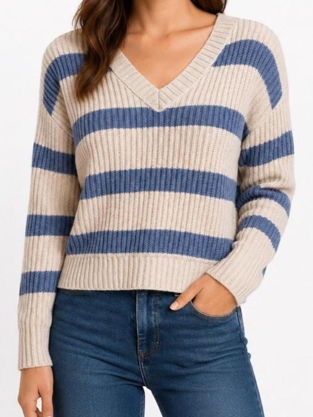 Wild Fable Blue & Cream Striped V-Neck Sweater